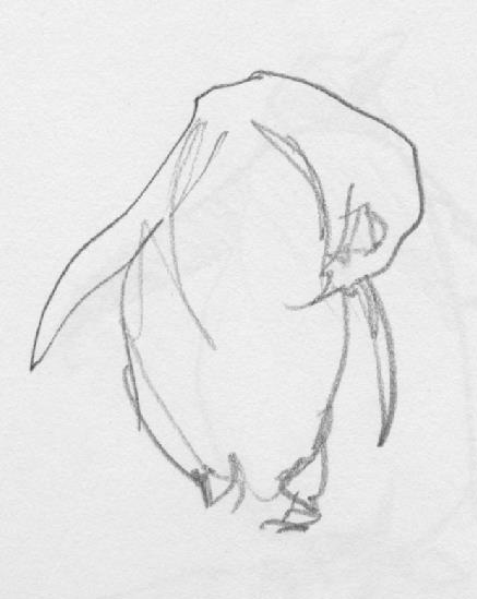 Sketching penguins at the Doorly zoo Sketching penguins at the Doorly zoo