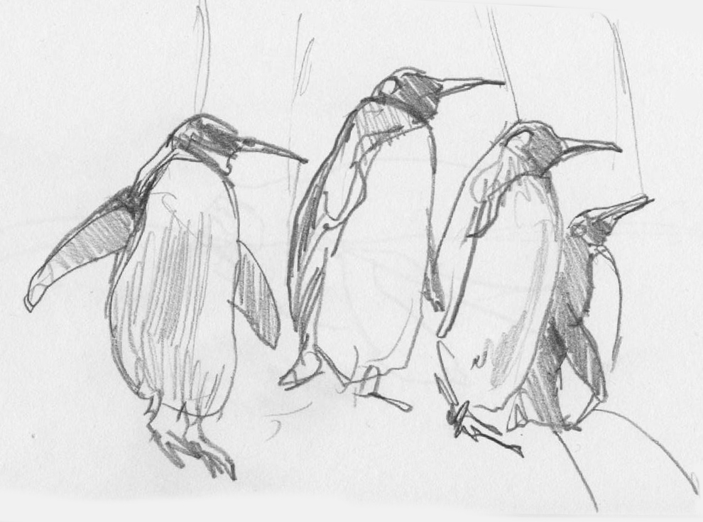 Sketching penguins at the Doorly zoo Sketching penguins at the Doorly zoo
